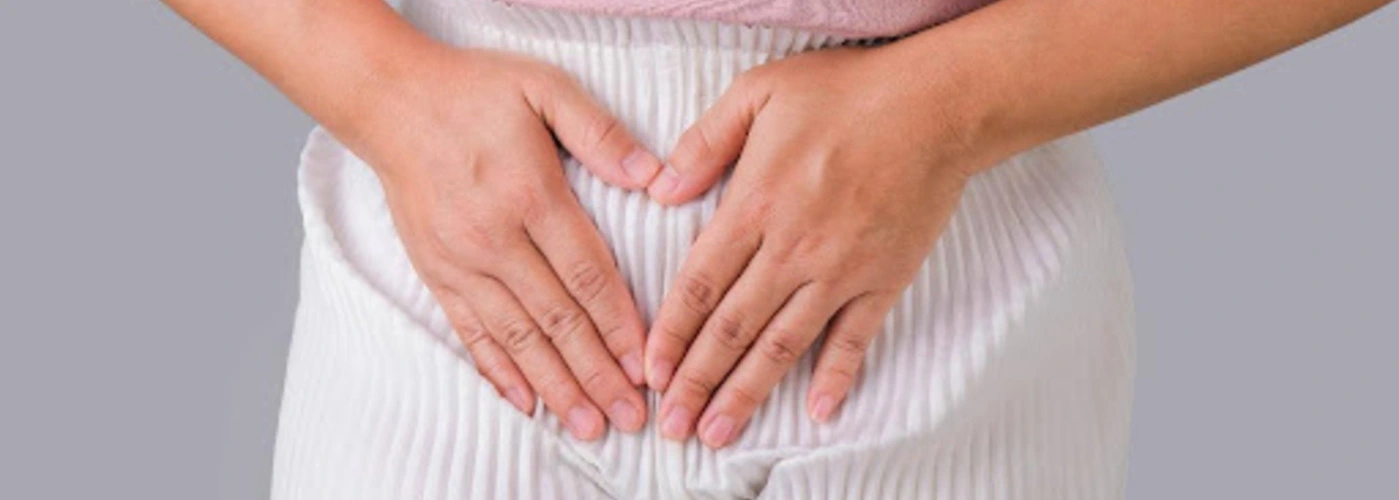 external female reproductive organ