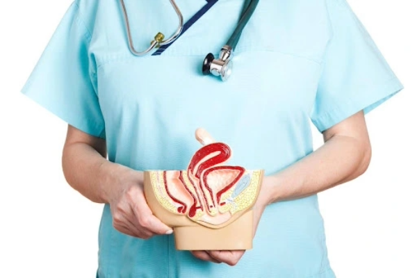 understanding reproductive health thumbail