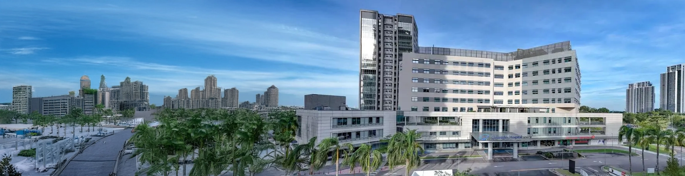 Rumah Sakit Gleneagles Johor Package Banner