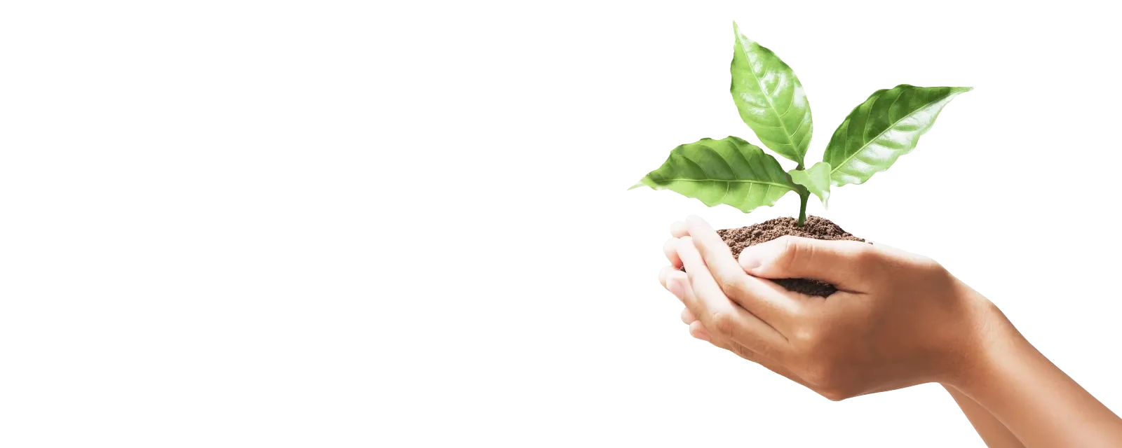 Sustainable Healthcare